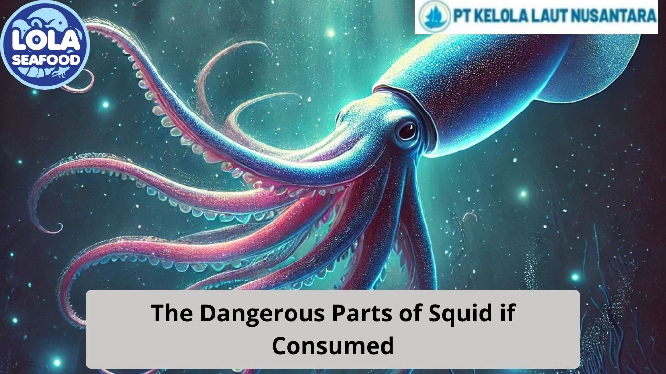 The Dangerous Parts of Squid if Consumed